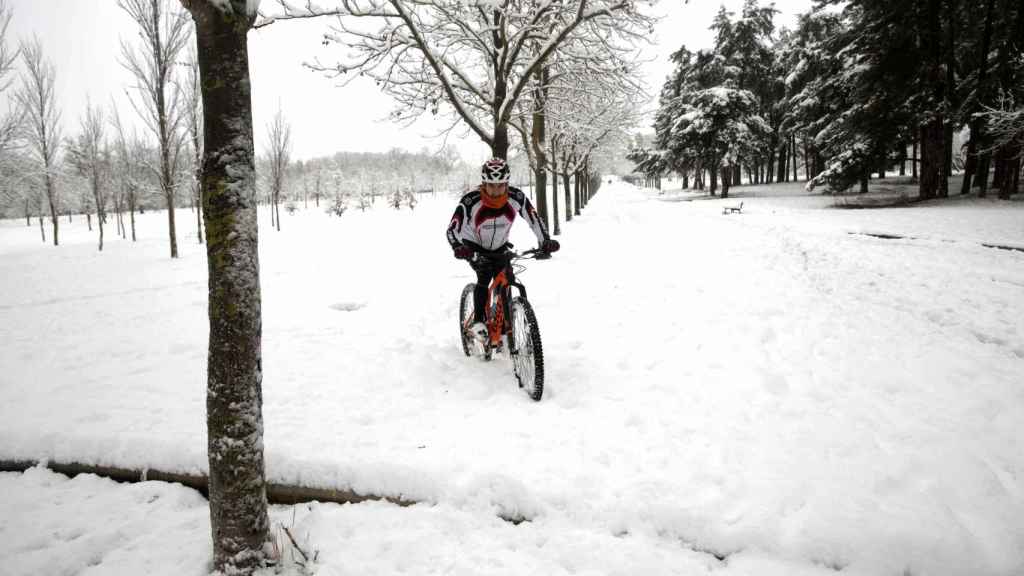 Un ciclista se aventura en el parque de Olarizu de Vitoria. Foto: EFE