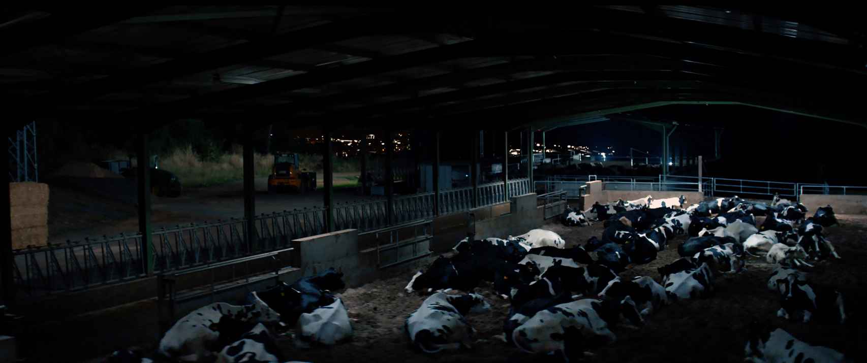 Así descansan las vacas en las granjas proveedoras de Pascual.
